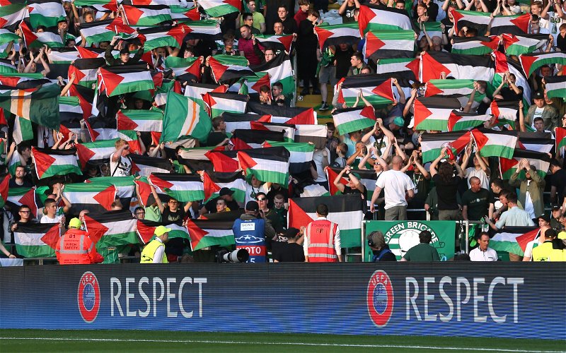 Image for Fly the flag for Palestine- Green Brigade step up their campaign by releasing emotional video