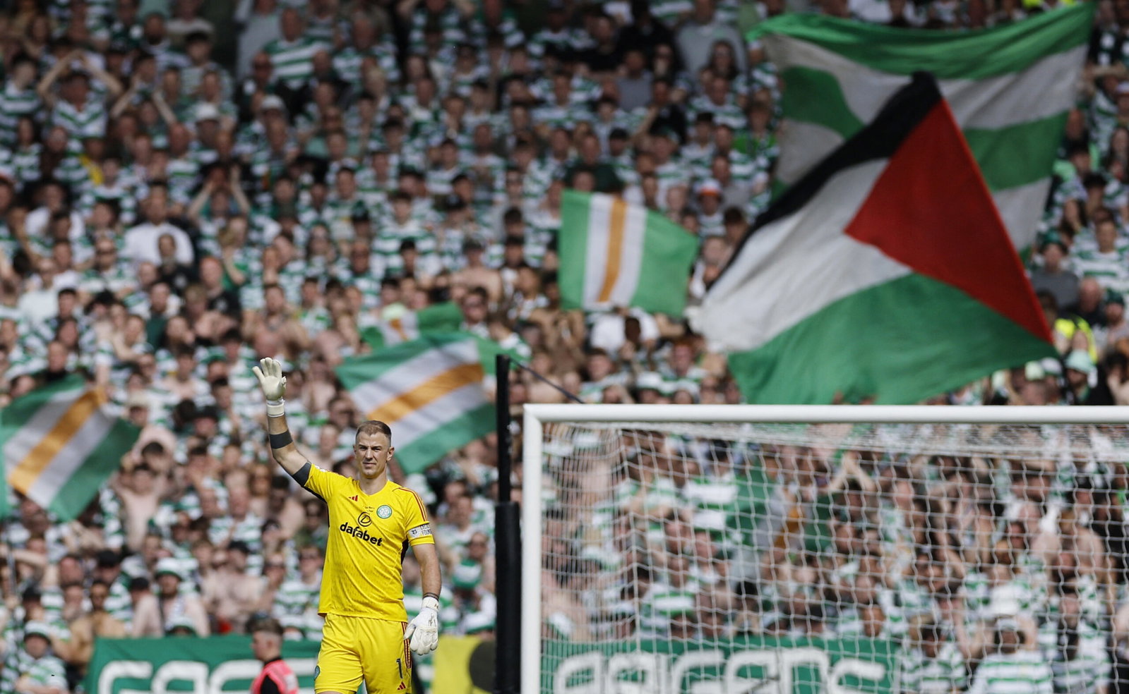 Hart, flags