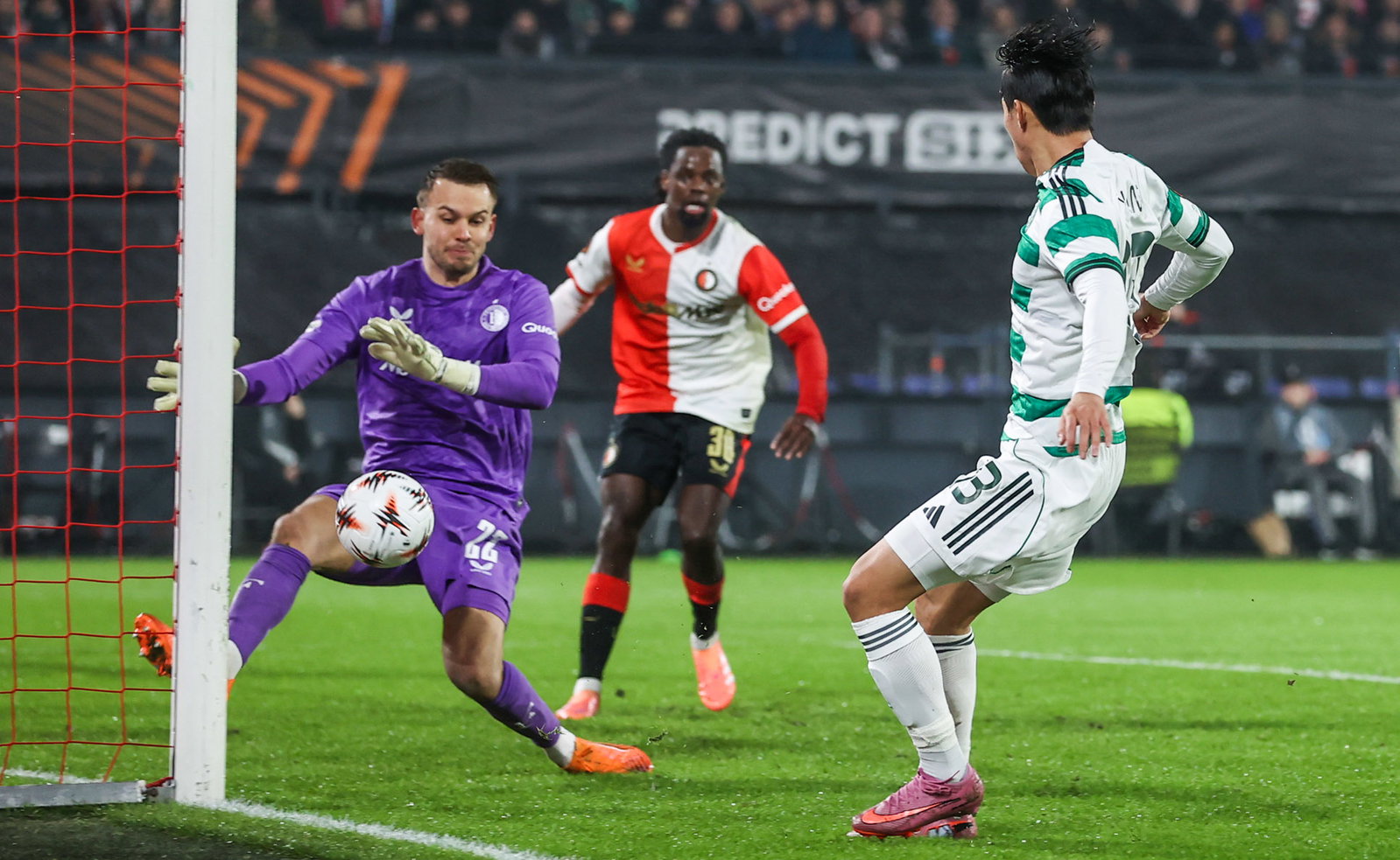 Yang, Celtic