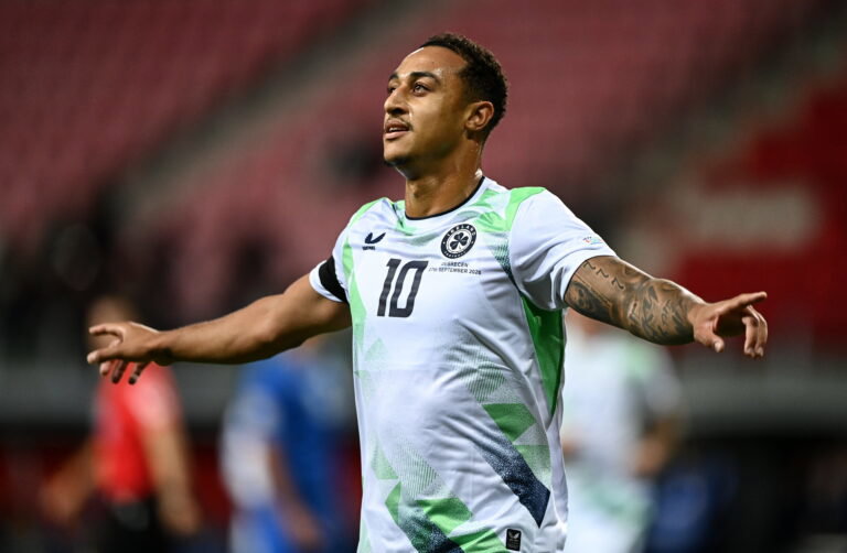 Adam Idah, Ireland